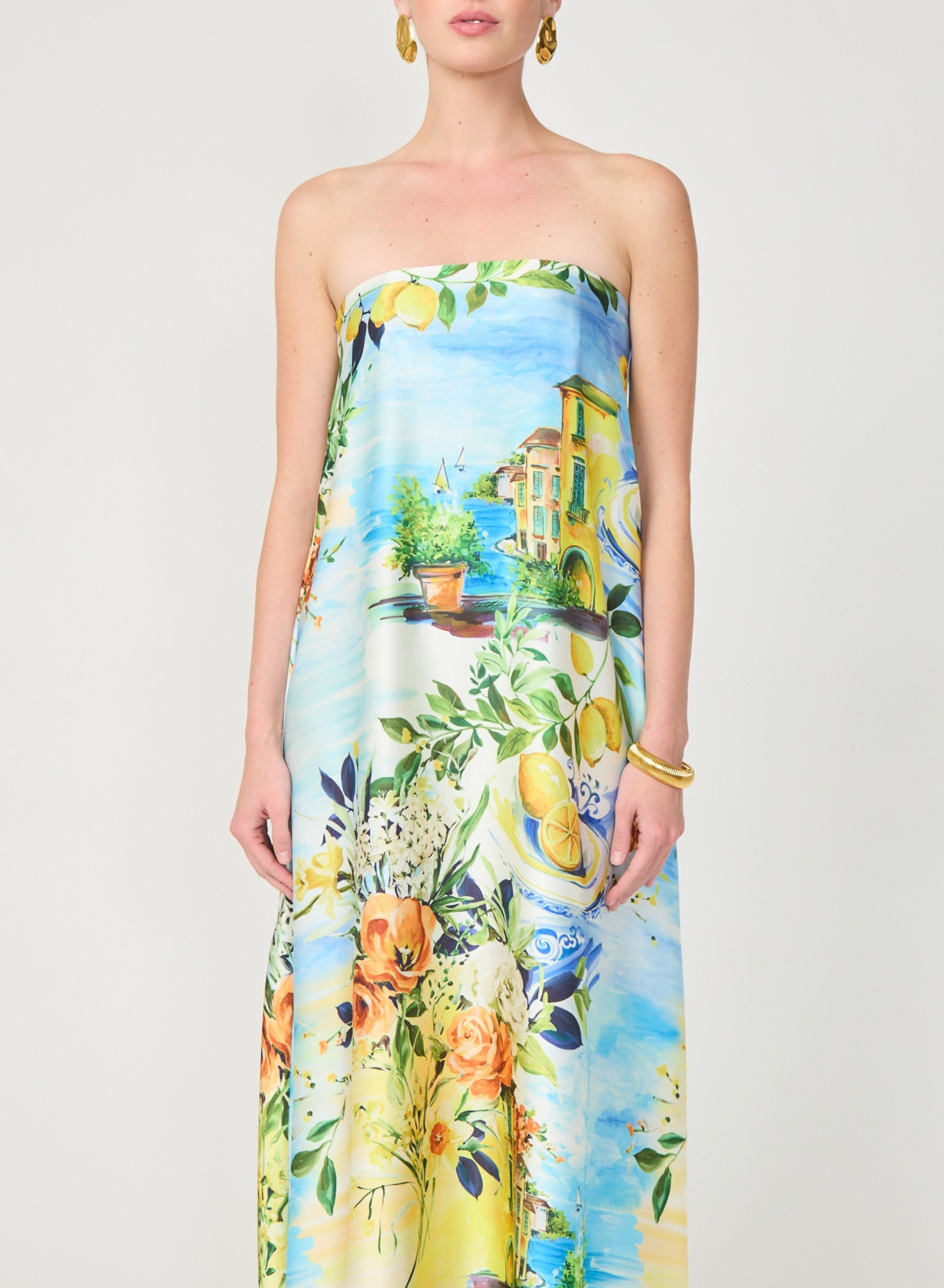 Jianna Dress Portofino Print