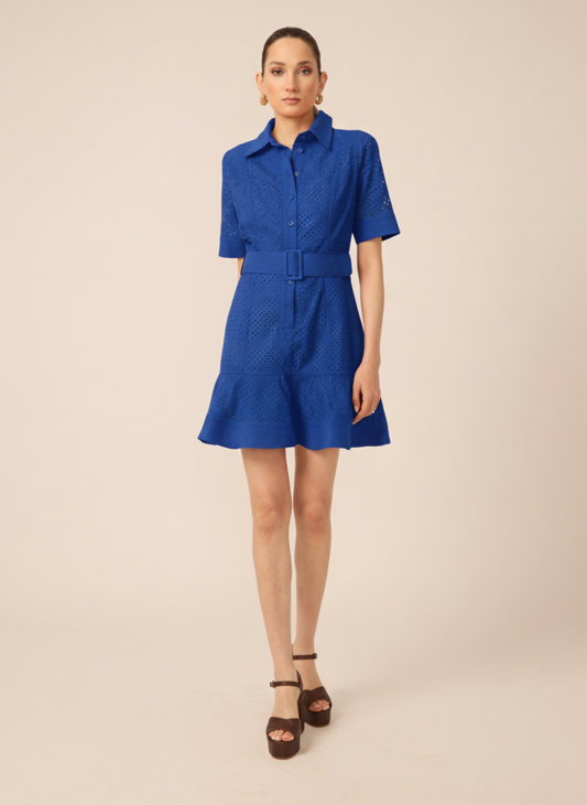 Payden dress in Blue Eyelet - Gilner Farrar