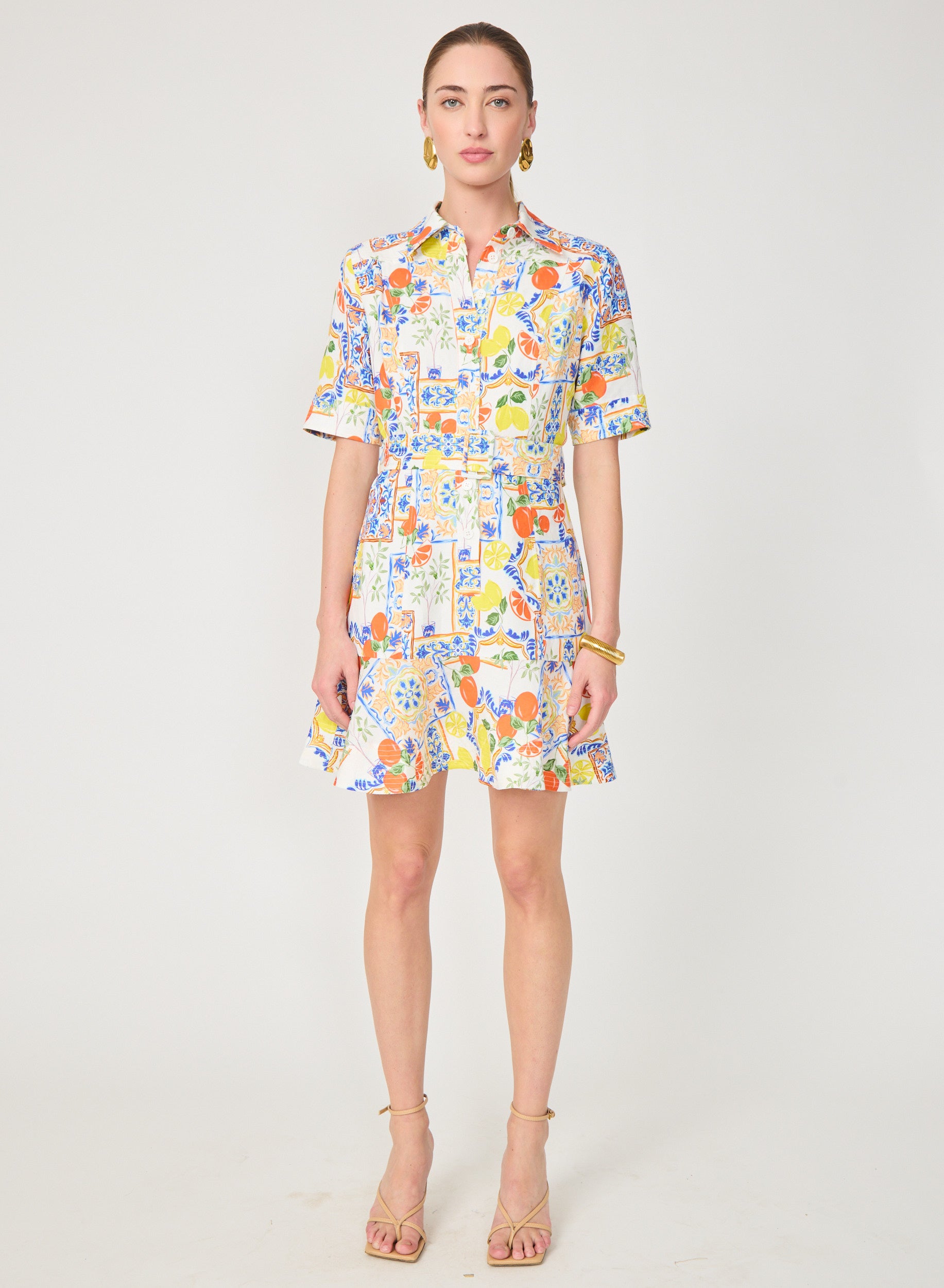 Payden Dress Naples Print