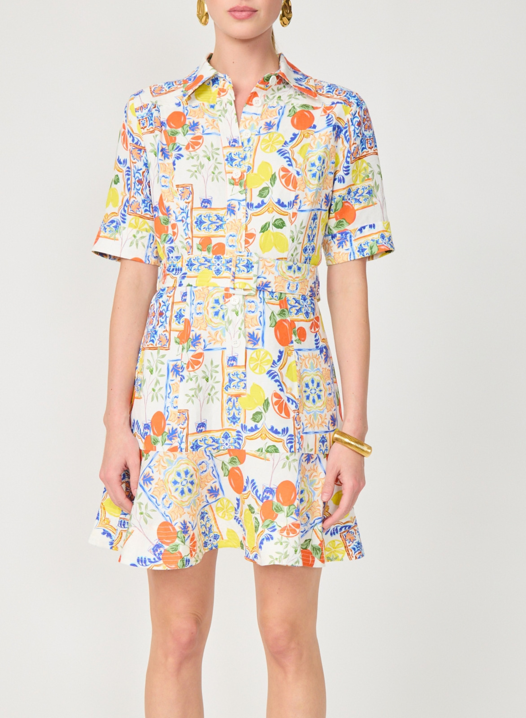 Payden Dress Naples Print
