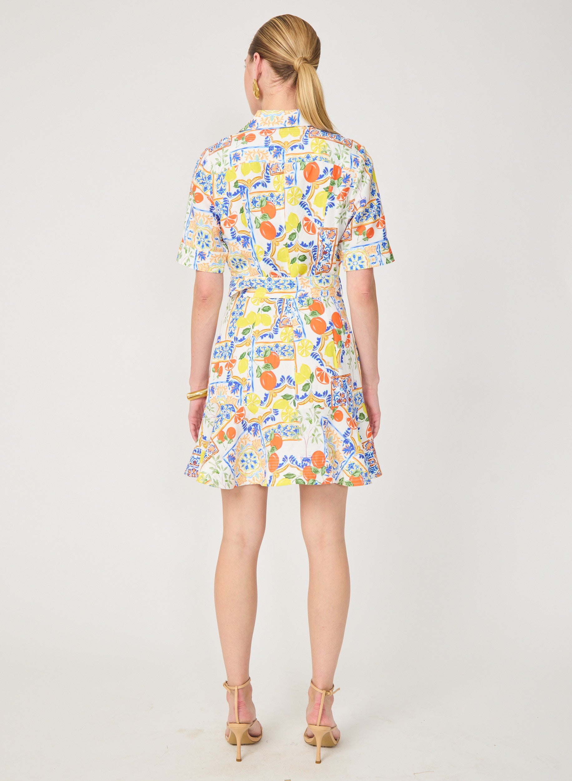 Payden Dress Naples Print