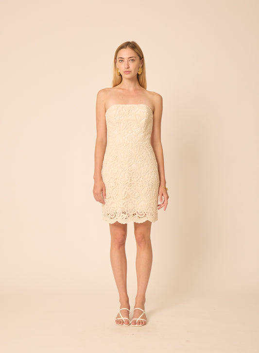 Solay dress in Lace Embroidery - Gilner Farrar